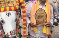 बालाजी मडावी यांच्या बैल जोडीने पटकावले एकवीस हजाराचे पहिले बक्षीस!