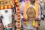 बालाजी मडावी यांच्या बैल जोडीने पटकावले एकवीस हजाराचे पहिले बक्षीस!