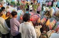 गोकुळ गोंडेगाव येथे बैल पोळा उत्साहात साजरा!