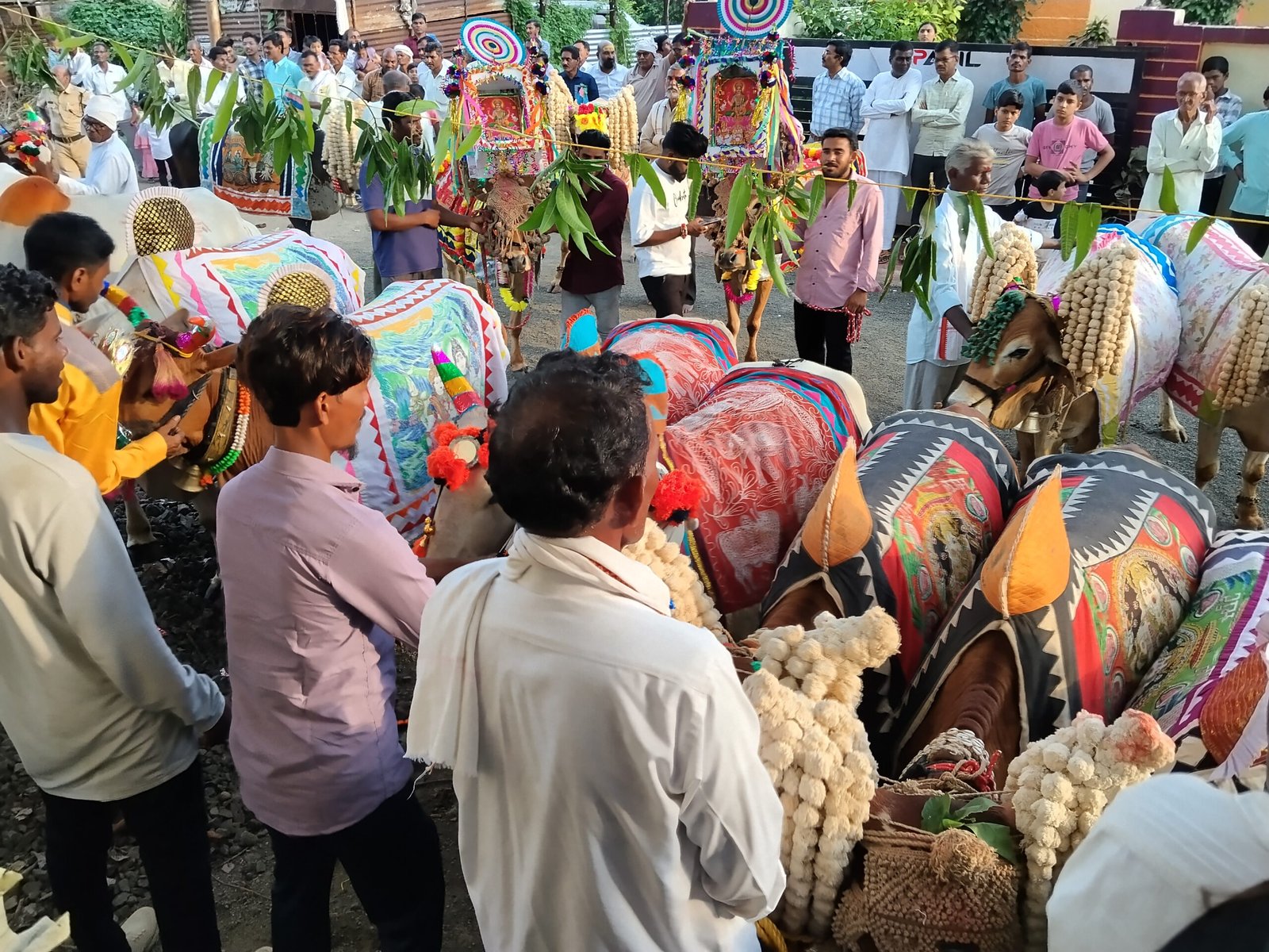 गोकुळ गोंडेगाव येथे बैल पोळा उत्साहात साजरा!